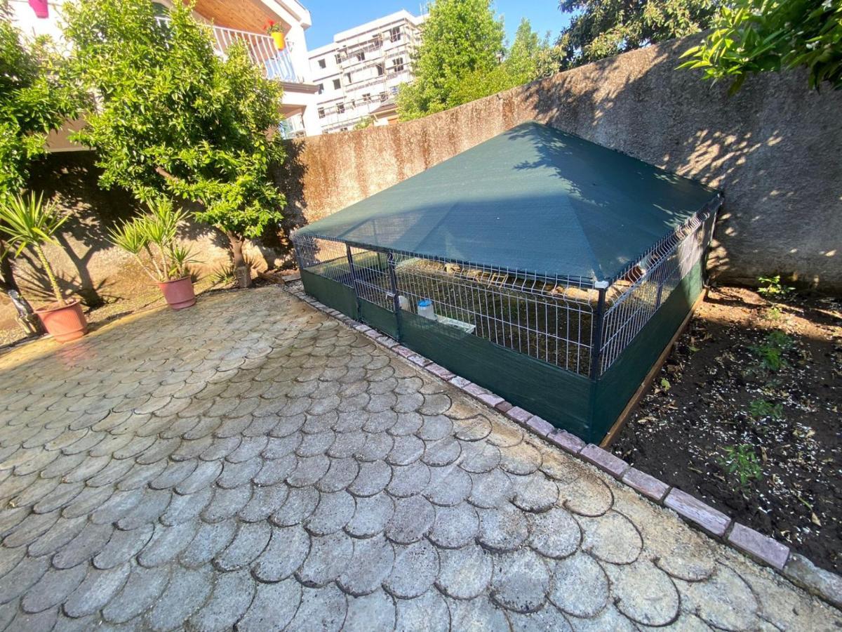 Gather Inn Guest House Shkoder Exterior photo